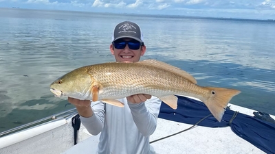 Blue Magoo Excursions