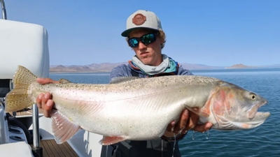 Lacey's Guide Service