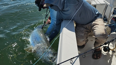 Dauntless Fishing Charters