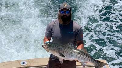 Osprey Sportfishing Charters