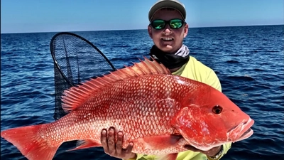 Southern Sport Fishing Charters