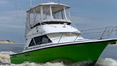 Fillet and Release Fishing Charters