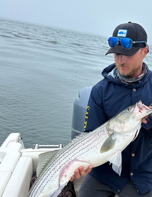 In The Net Sportfishing Cape Cod