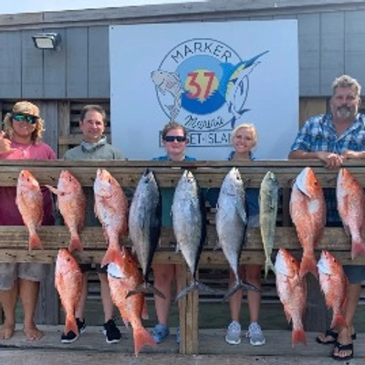 Blue Rush Charters