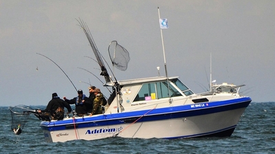 Add'em Up Sportfishing Charters