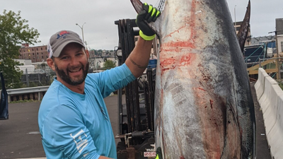 Mainely Blue Charters