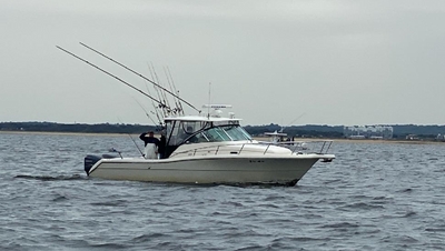 Chasin'tail Sportfishing