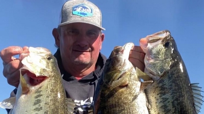 Watts Up Guide Service