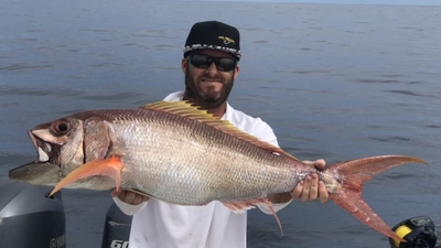 Mr Trigger Sport Fishing