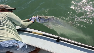 Andy's Fishing Charters