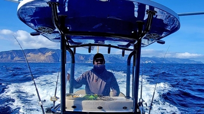 True Blue Adventures