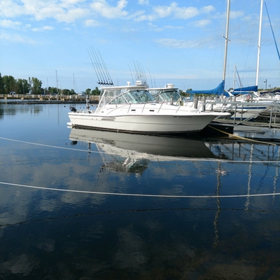 Pursuit Sport Fishing Charters