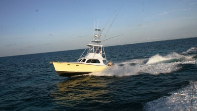 First Choice Charters