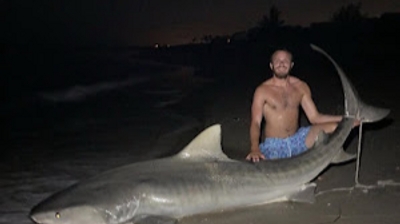 Tampa Bay Shark Fishing