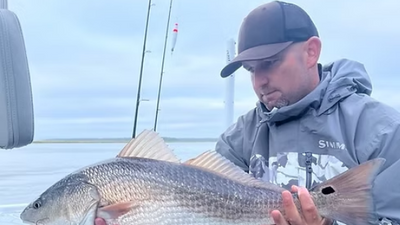 American Angler Sportfishing