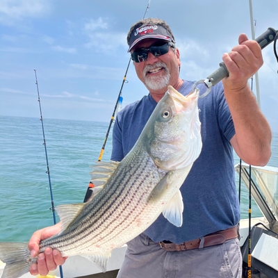 Hook & Fin Fishing Charters