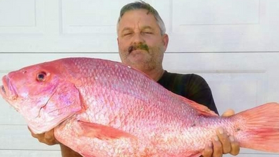 Floating Debris Charters