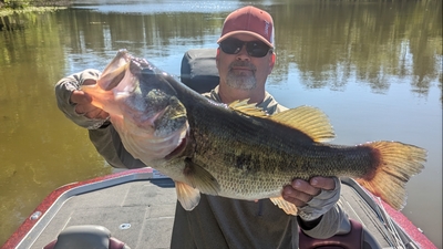 Fish Hard Guide Service