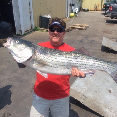Sea Dog Fishing Team and Charters