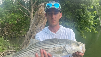 Sunny Daze Guide Service