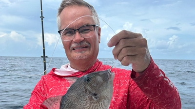 Nautical SeaZ Charters