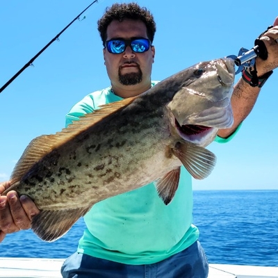 Lickety Split Charters