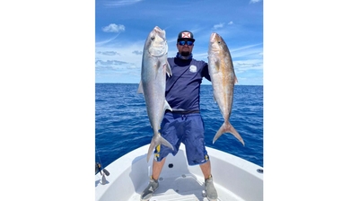 Scale House Charters