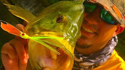 Endless Adventure Fishing Charters