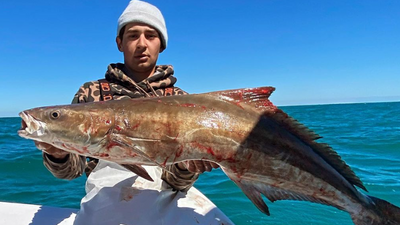 Captain Toby's Guide Service