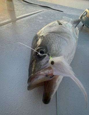 South Jersey Inshore Guide Service