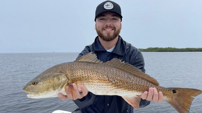 Fish Fixation Charters