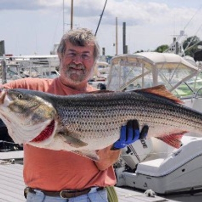 Grey Dolphin Sportfishing Charters