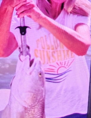 Charter Fishing Galveston