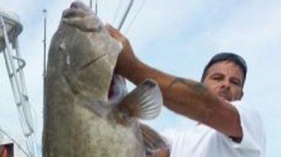 Stick Marsh Charters