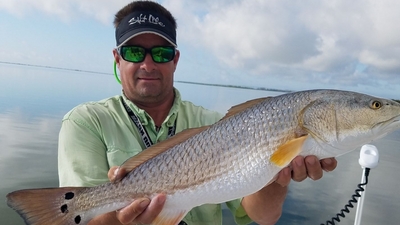 Artificial Action Guide Service