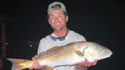 Kingfishers Guide Service