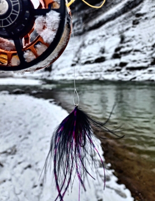 Around The Bend Fly Fishing