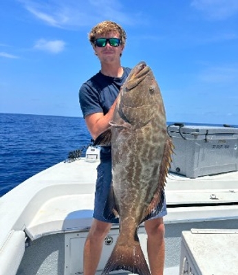 Drifting and dreaming charters