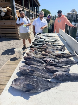 Swan Point Charters