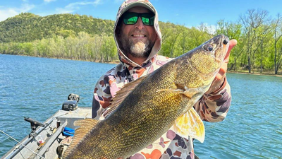 Ozark’s Full Stringers LLC