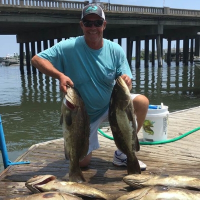 Whipsaw Fishing Charters