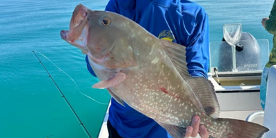 Whole Day Fishing in Key West FL