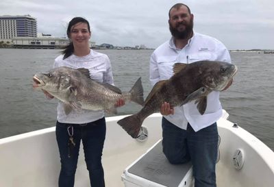 Island Trips in the Gulf of Mexico