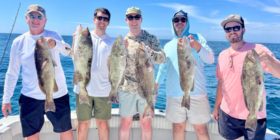 Charter Fishing Clearwater | 4 To 8 Hour Charter Trip 