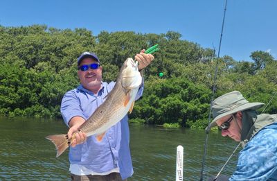 Private 3-Hour St. Pete Flats & Inshore Fishing Trip