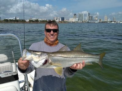 Private 4-Hour St. Pete Late Morning Inshore Trip