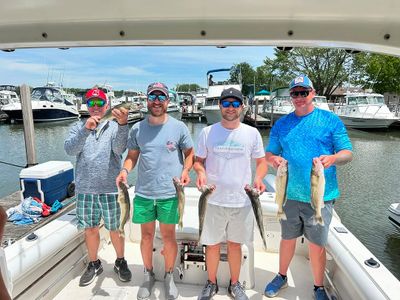 Private 8 Hour Walleye & Perch Fishing Charter