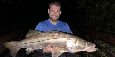 Hollywood Fishing Charters | Evening 7 Hour Snook Fishing