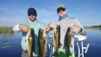 Bass Fishing in Kissimmee Florida | 3 HR Private Trip