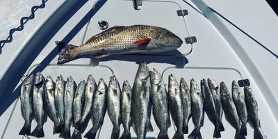 1 -2 Person Charter Fishing Trip